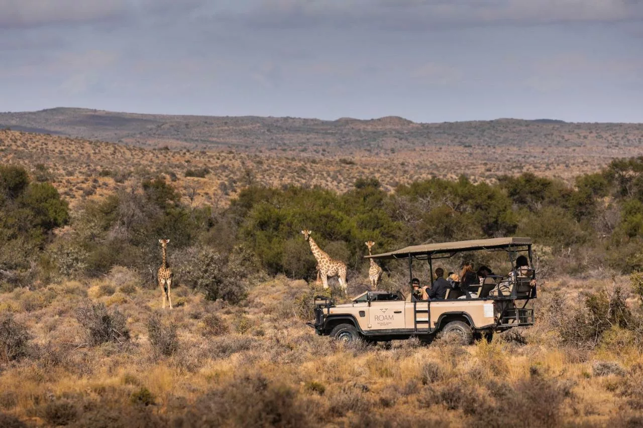 Roam Private Game Reserve