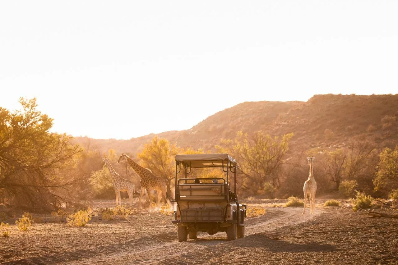 Roam Private Game Reserve