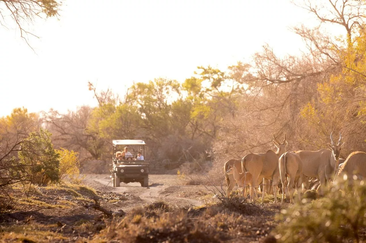 Roam Private Game Reserve