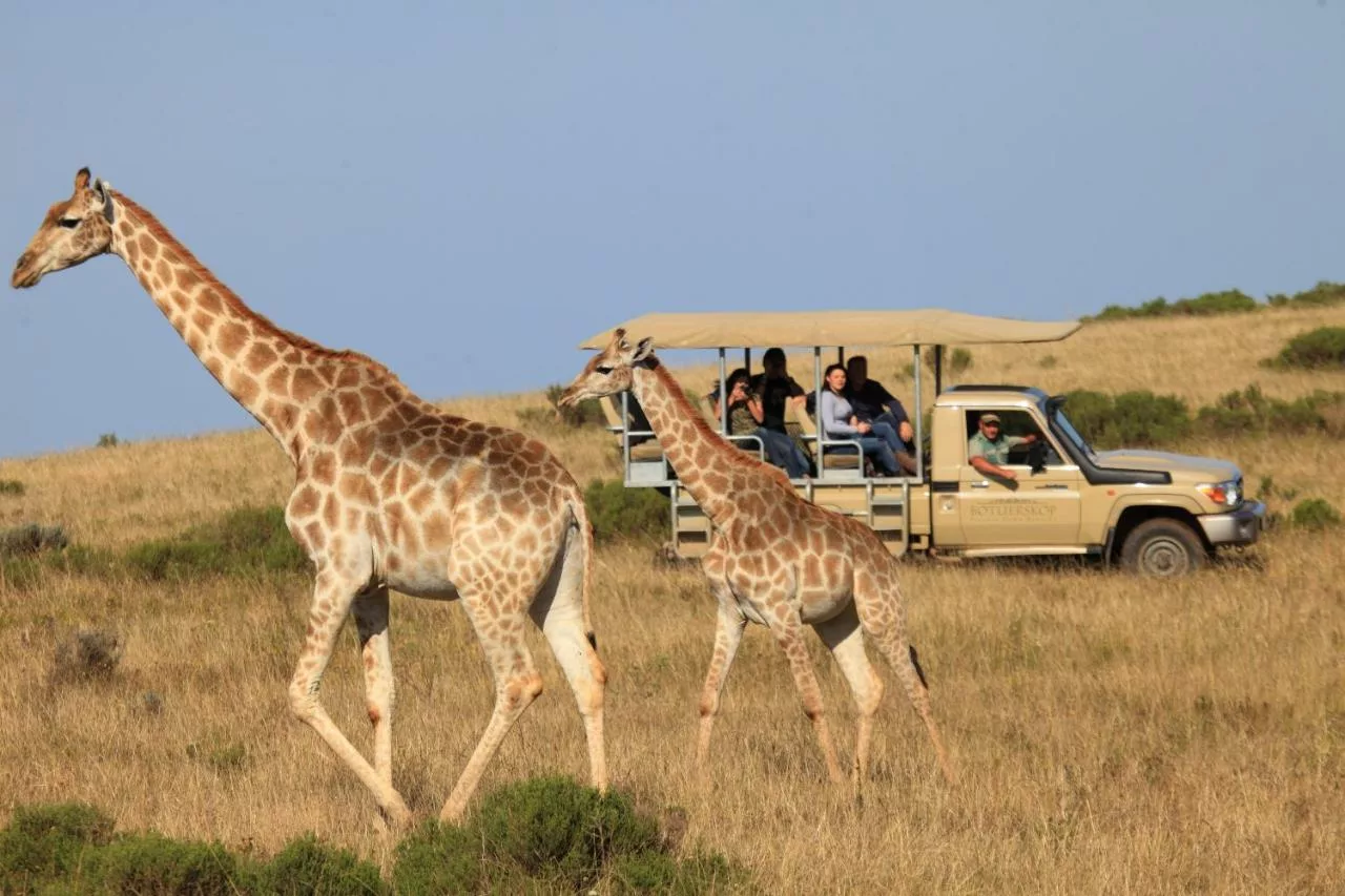 Botlierskop Private Game Reserve