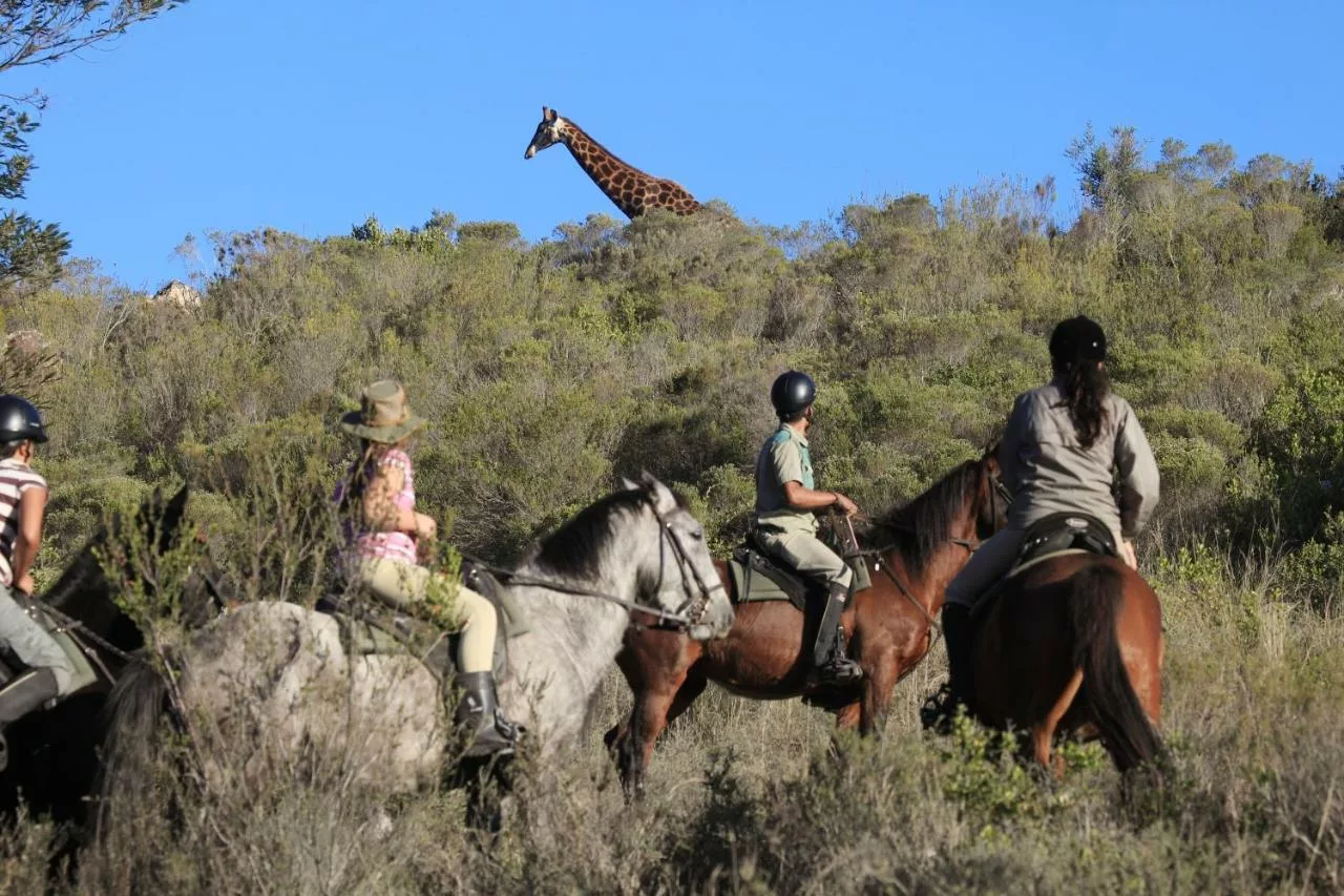 Botlierskop Private Game Reserve