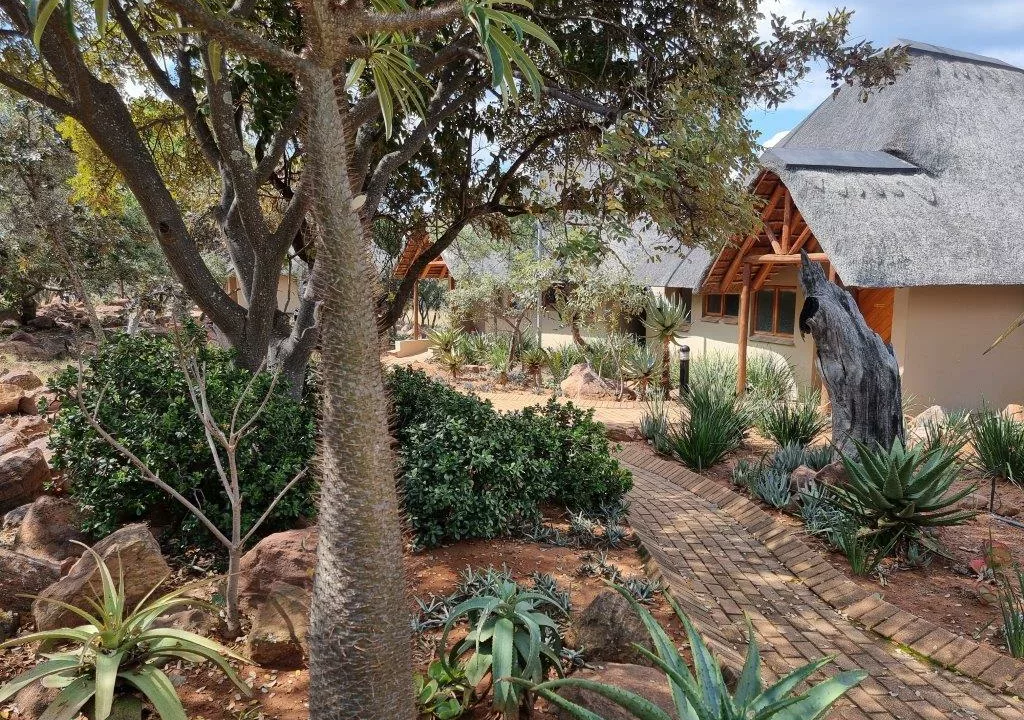 Matingwe Lodge Vaalwater Limpopo Yuppiestay Accommodation (21)