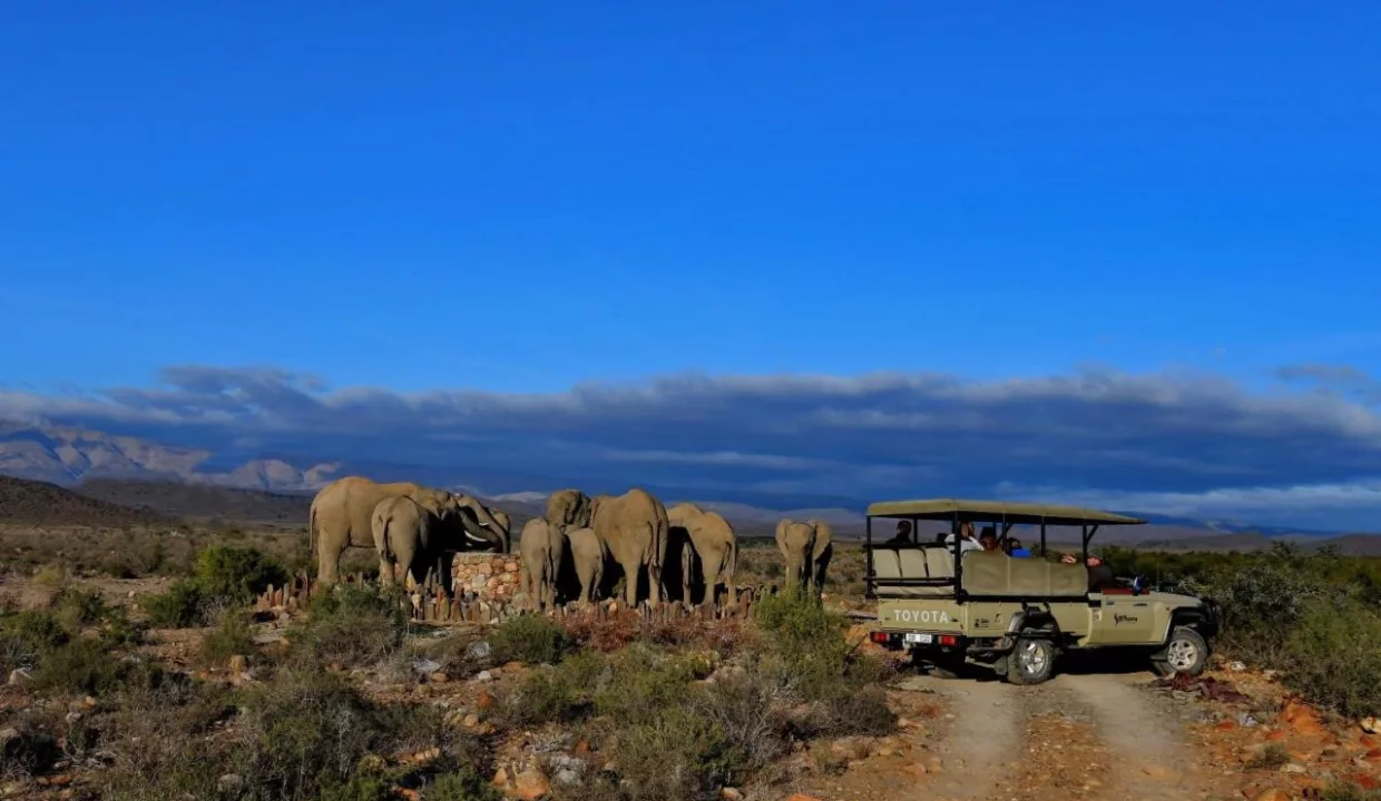 Tilney Manor Sanbona Wildlife Reserve Montagu Yuppiestay Accommodation