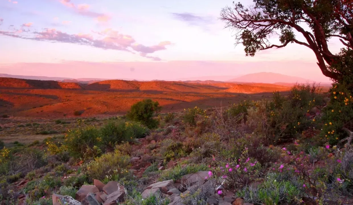 Tilney Manor Sanbona Wildlife Reserve Montagu Yuppiestay Accommodation (17)