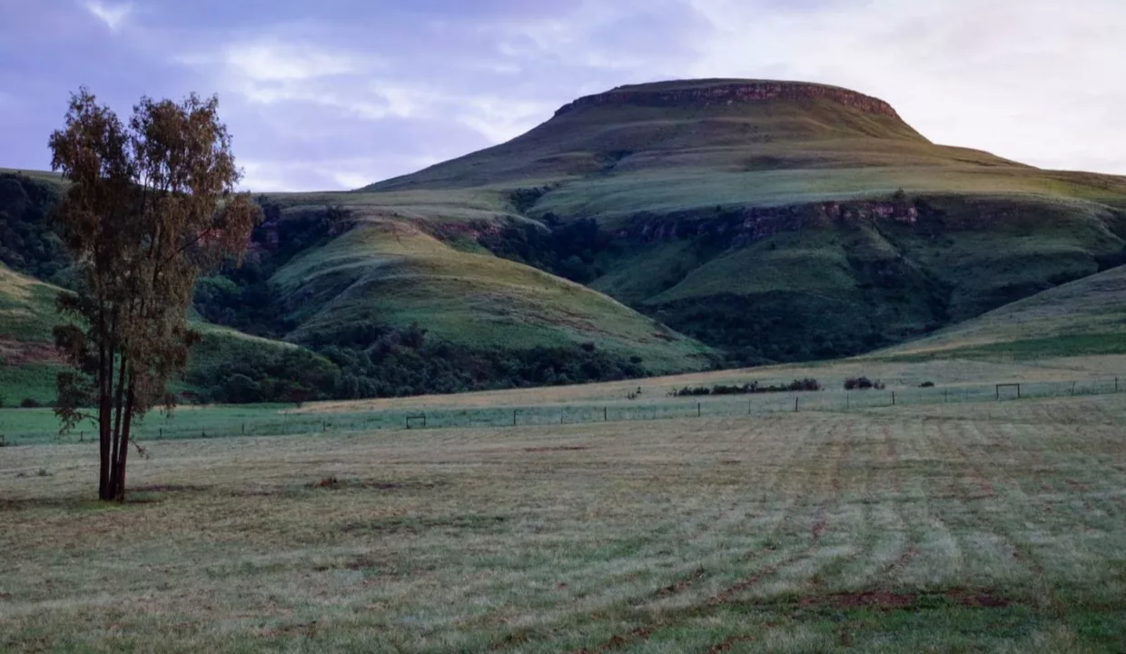 Montusi Mountain Lodge Drakensberg Accommodation Yuppietay 10