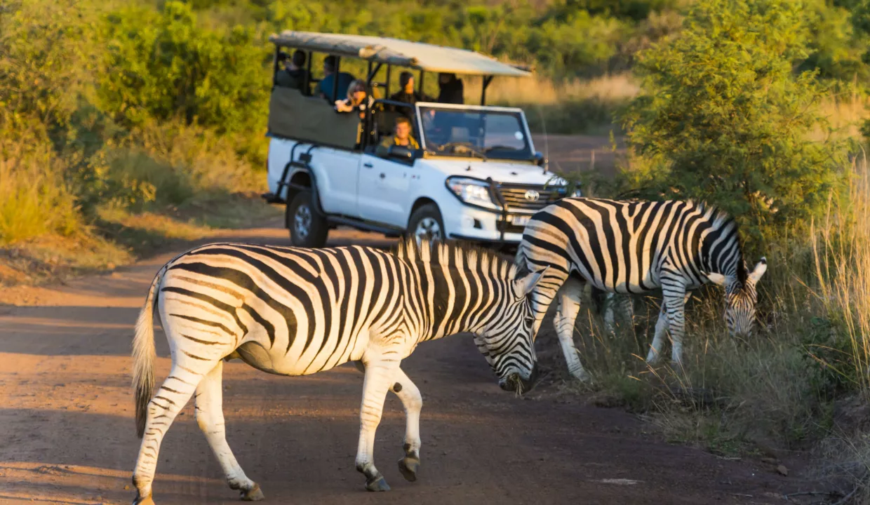 Shepherds Tree Game Lodge Accommodation By Yuppiestay24