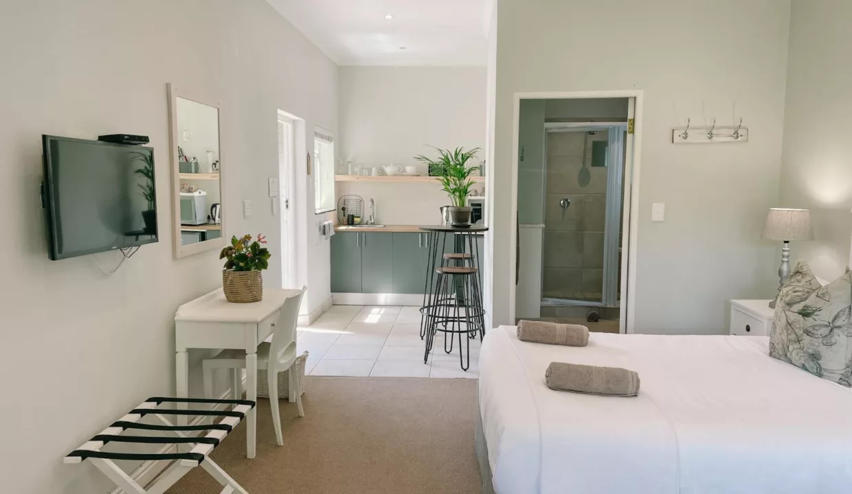 Panzi Garden Suite Leisure Collective Knysna Leisure Isle Yuppiestay Accommodation (15)