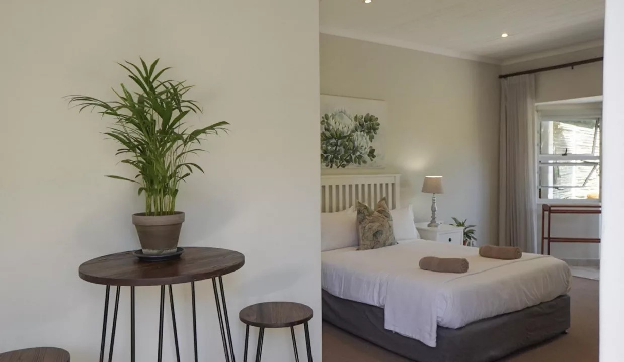 Panzi Garden Suite Leisure Collective Knysna Leisure Isle Yuppiestay Accommodation (16)