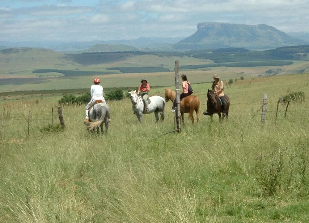 Antbear Lodge Drakensberg KZN (4)